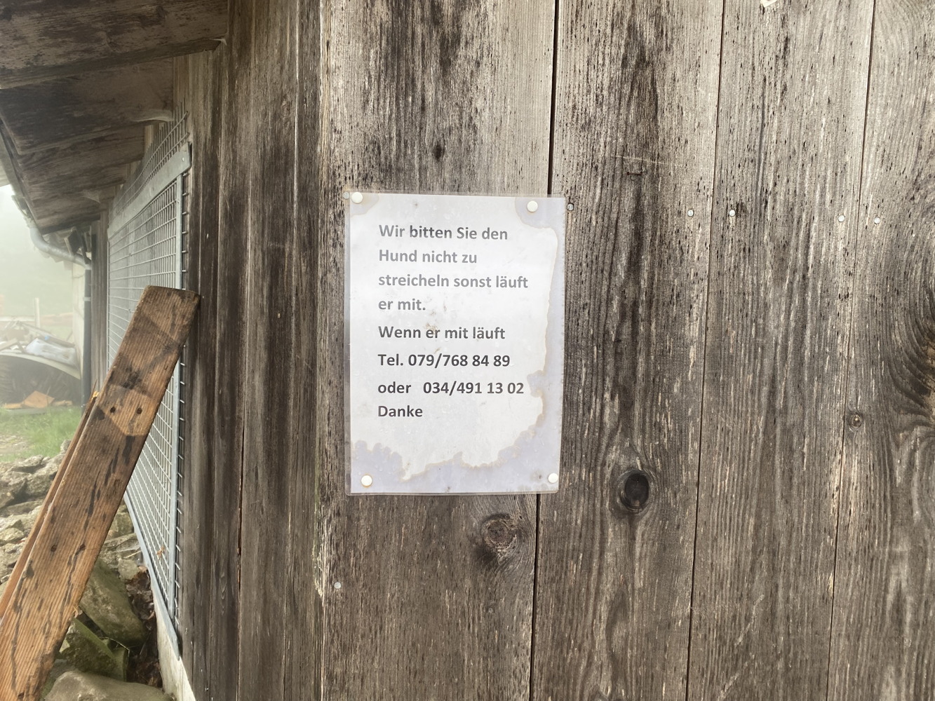 p1020611a.jpg