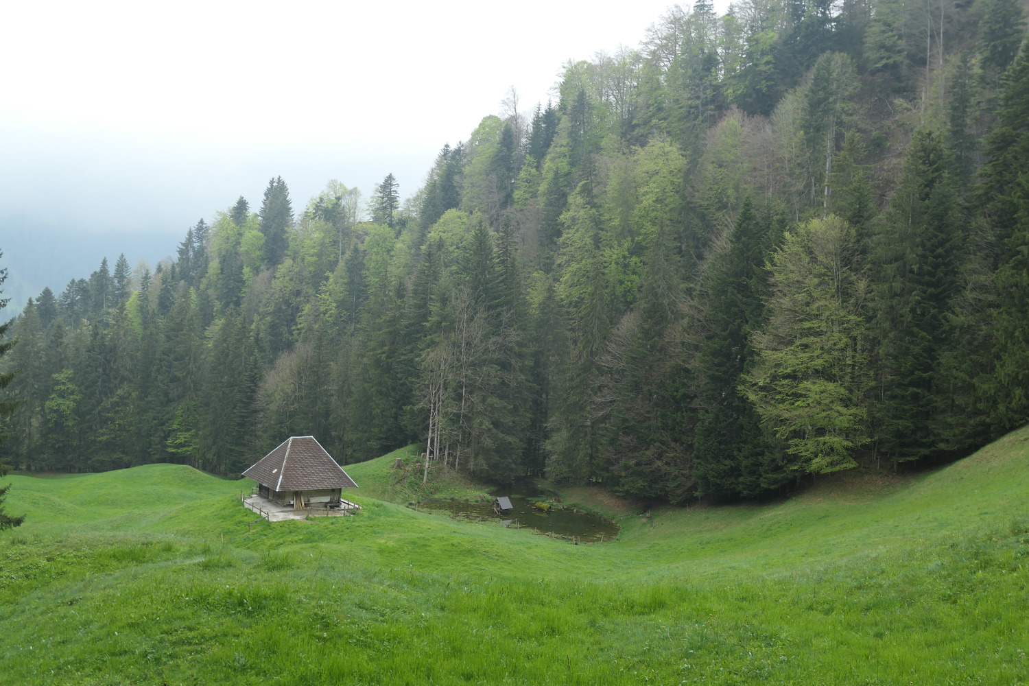p1020614.jpg
