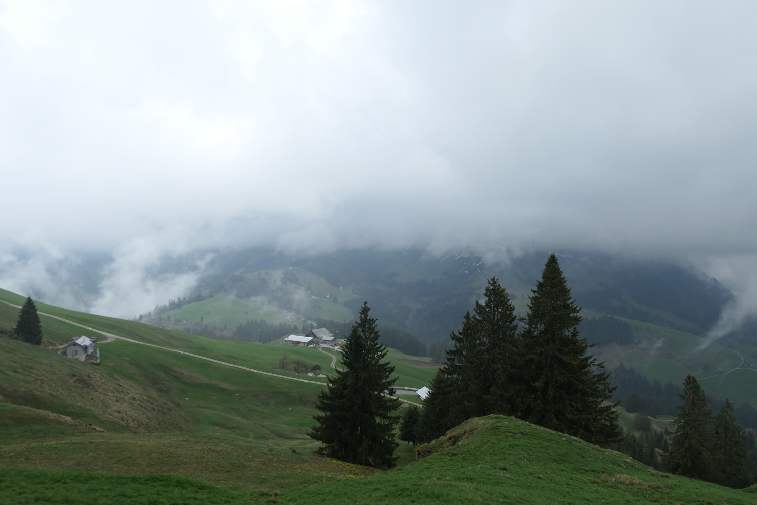p1020618.jpg