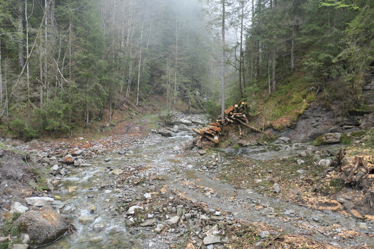 p1020624.jpg