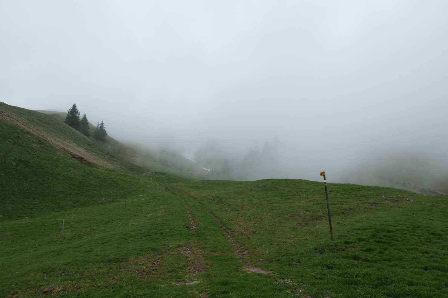 p1020633.jpg