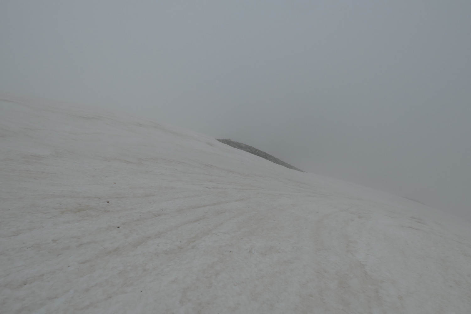 p1020636.jpg