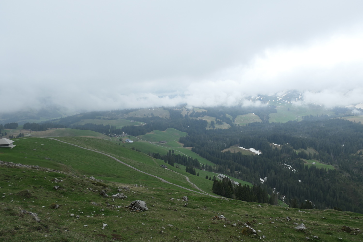 p1020638.jpg