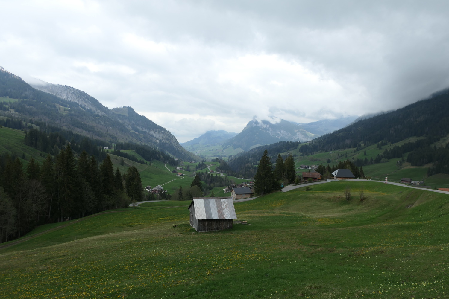 p1020641.jpg