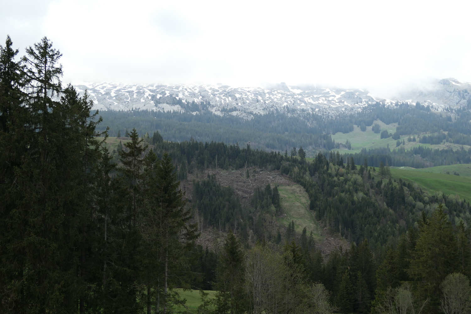 p1020642.jpg