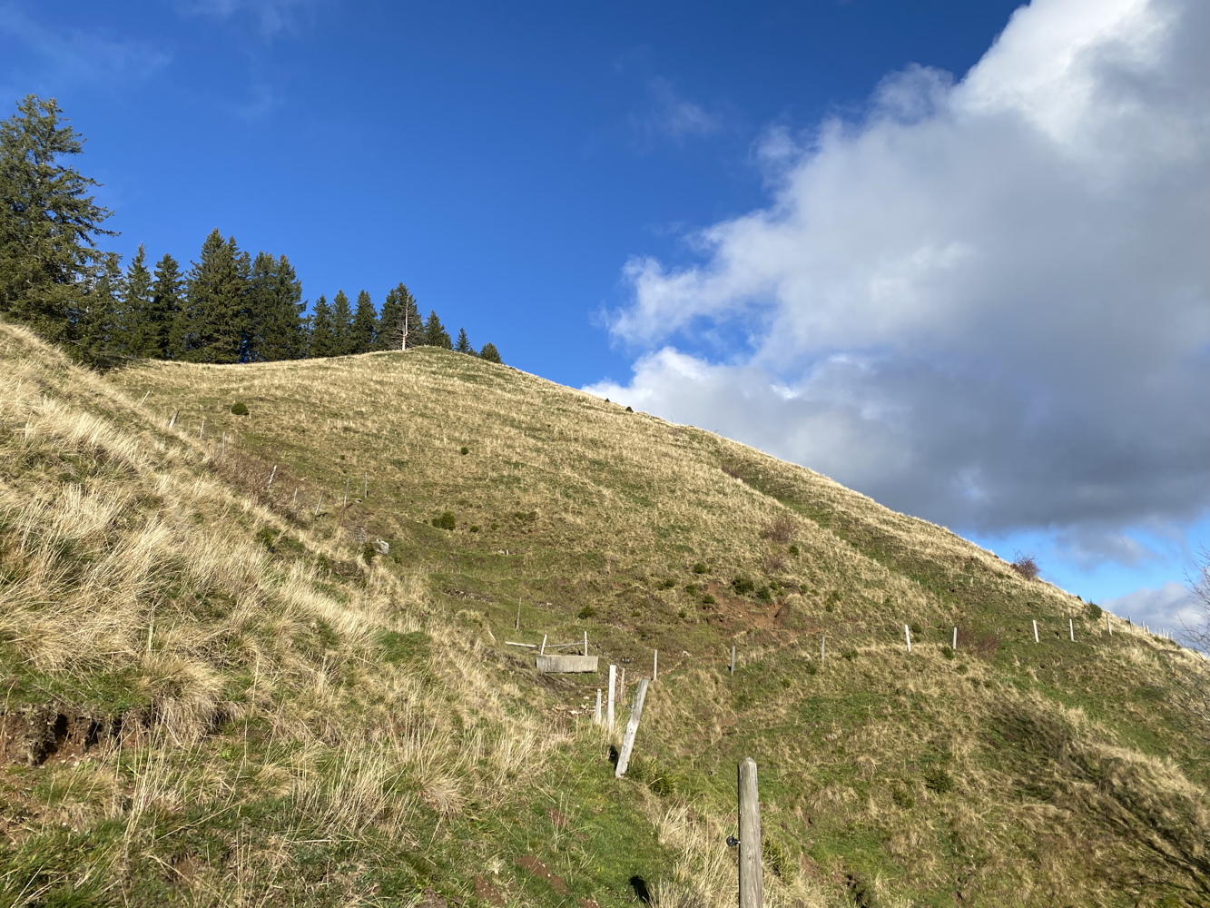 img_3068.jpg