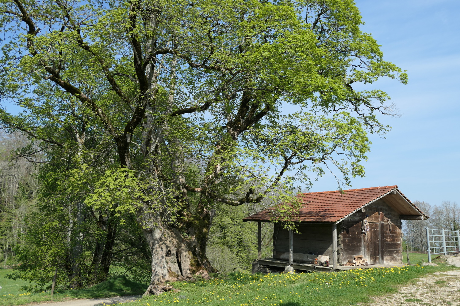 p1020584.jpg