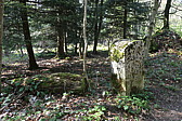 p1020581.jpg