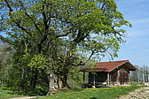 p1020584.jpg