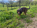p1020594a.heic
