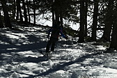 p1020045.jpg