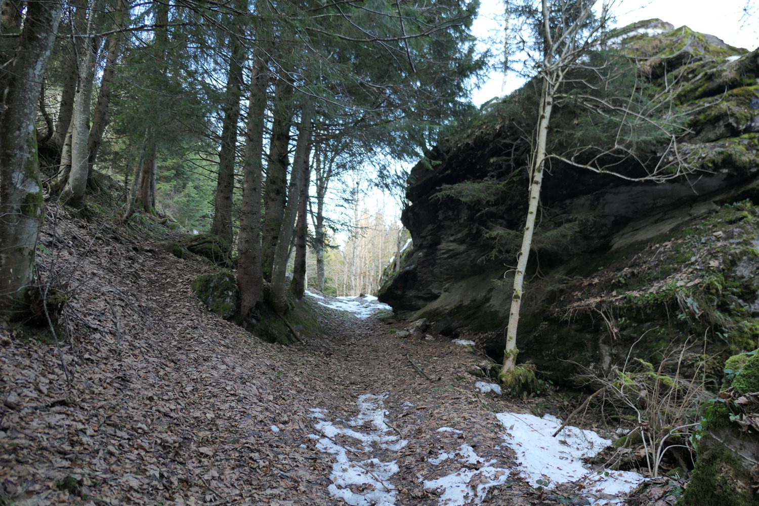 p1010970.jpg