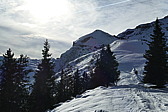 p1010974.jpg
