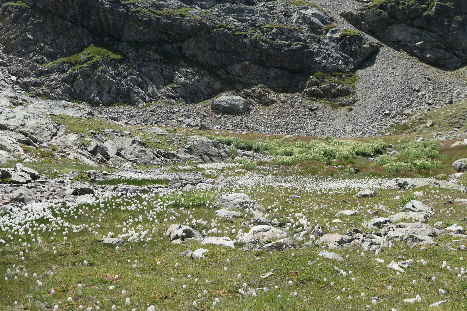 p1030305.jpg