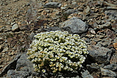p1030289.jpg