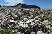 p1030292.jpg