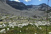 p1030304.jpg