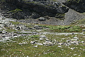 p1030305.jpg