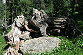 p1030309.jpg