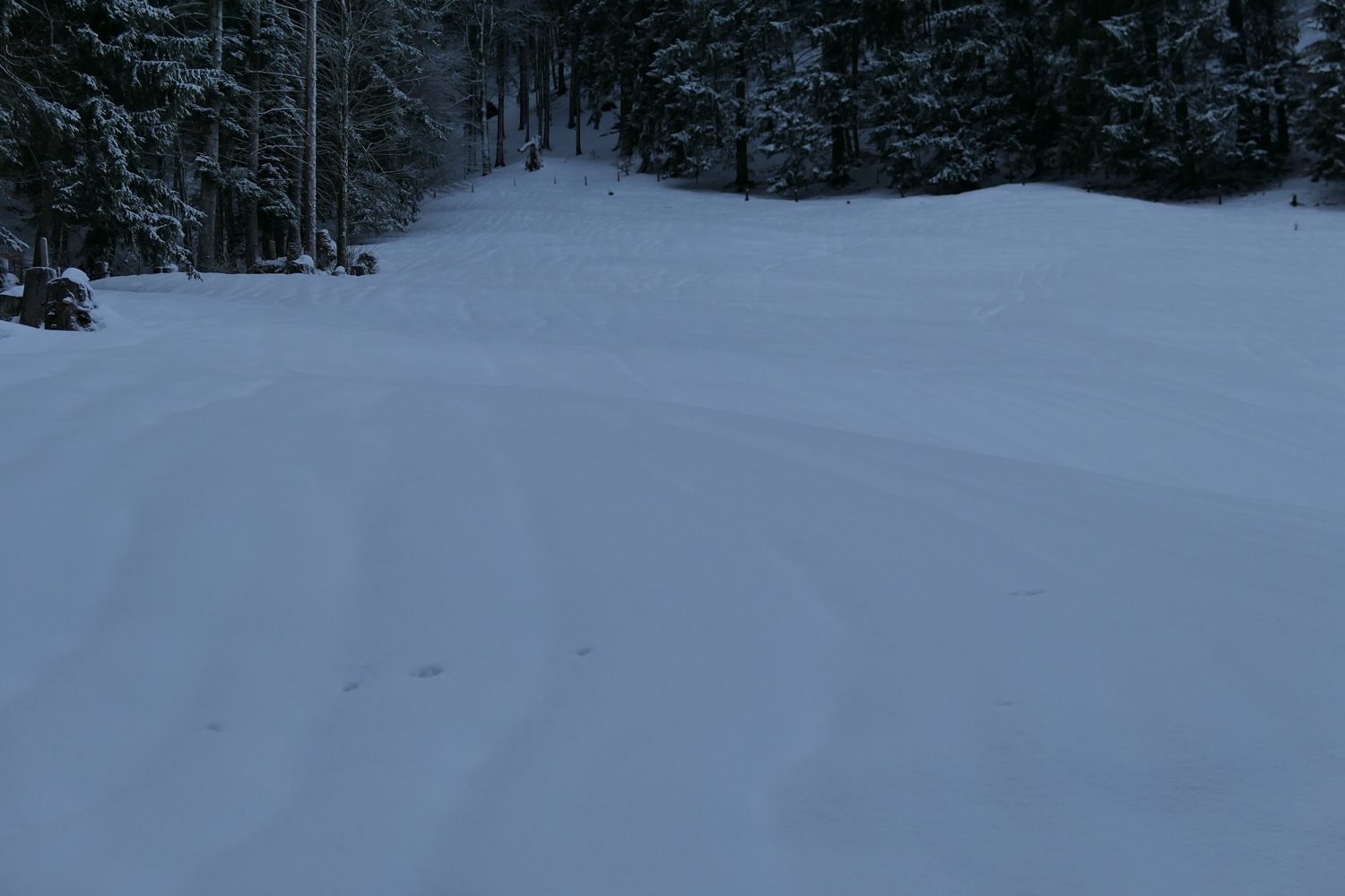 p1020117.jpg