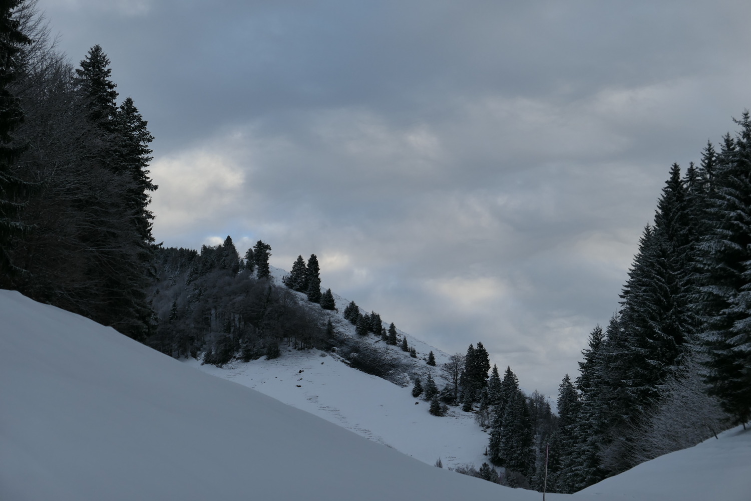 p1020118.jpg