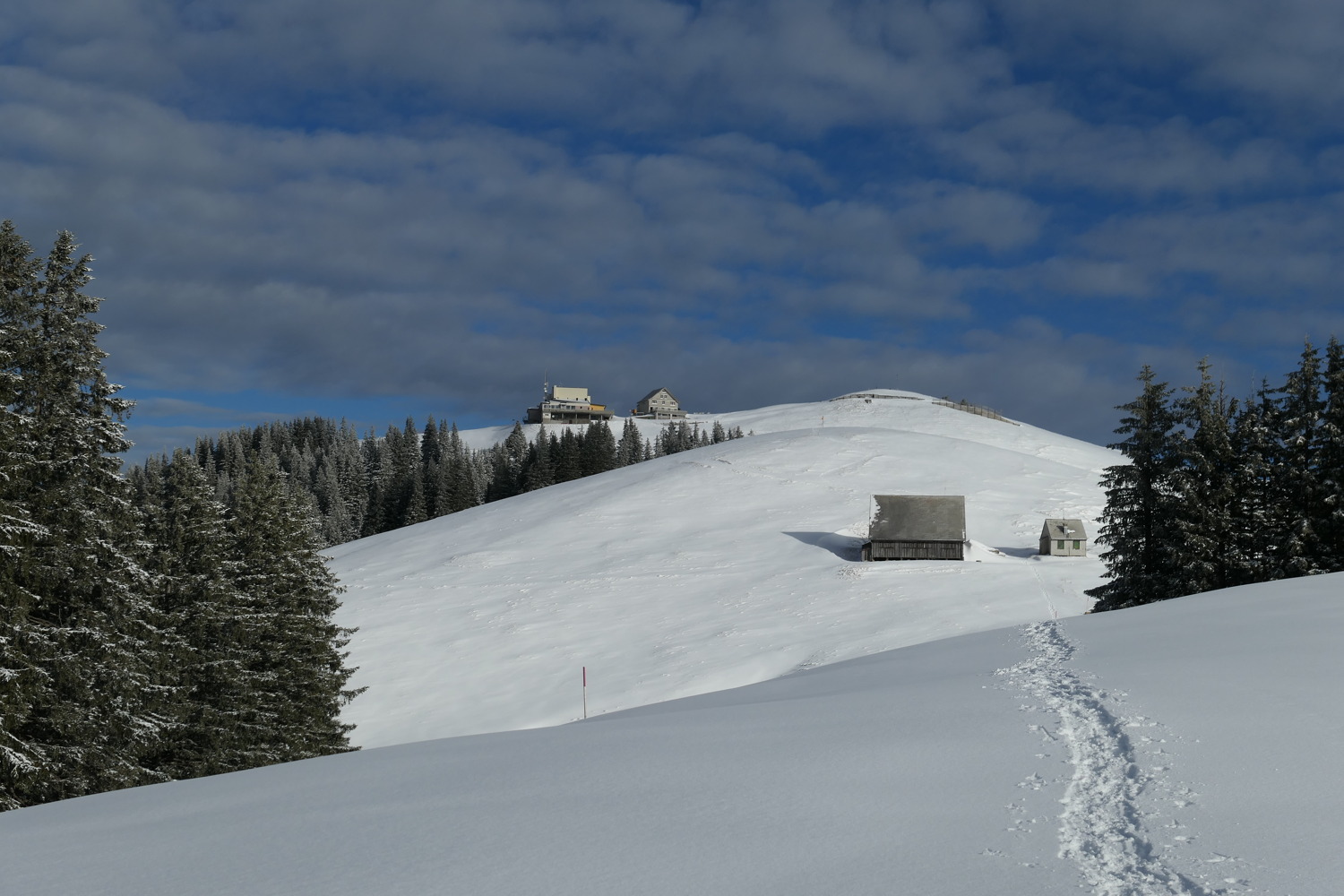 p1020124.jpg