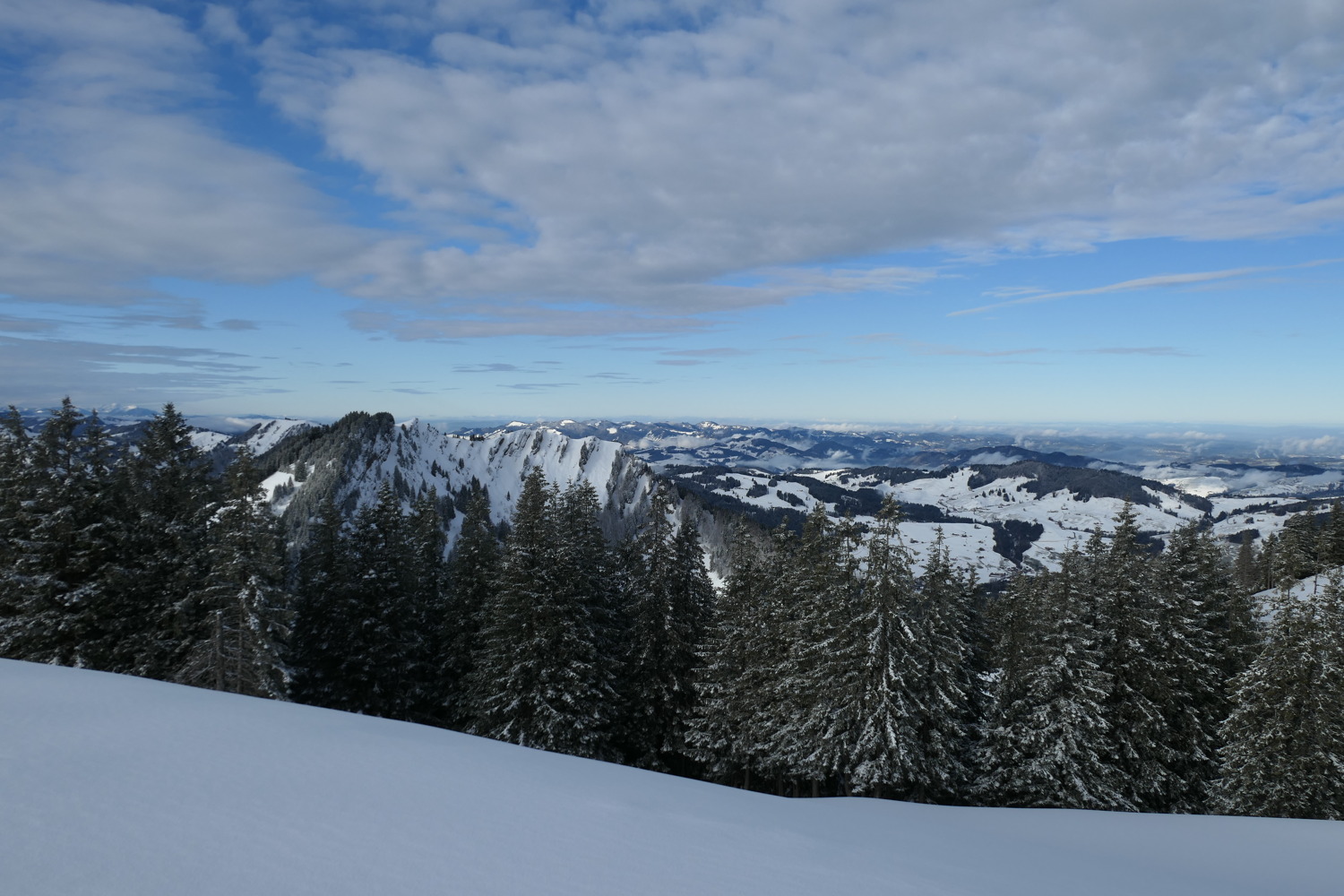 p1020128.jpg