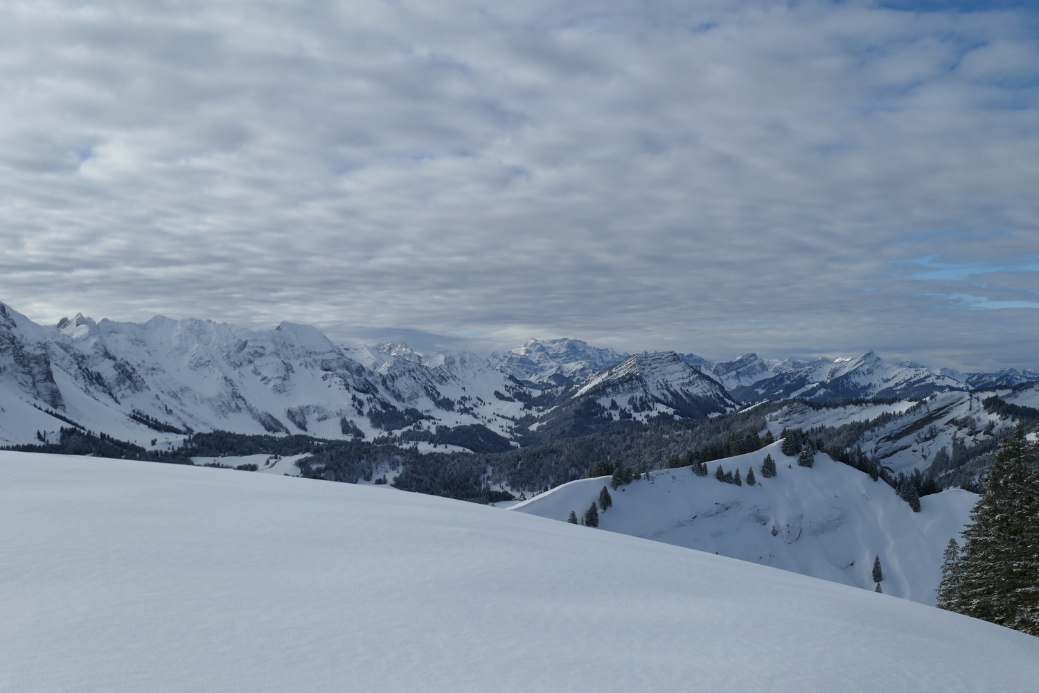 p1020129.jpg