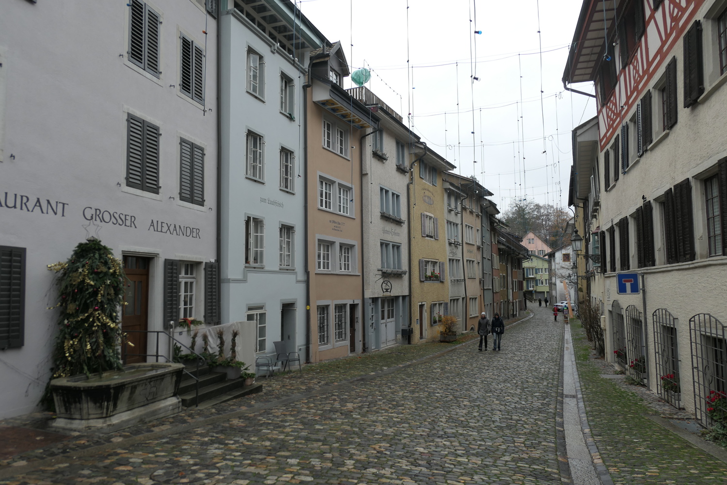 p1040809.jpg