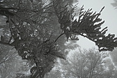 p1040791.jpg