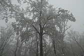 p1040794.jpg