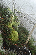 p1040800.jpg