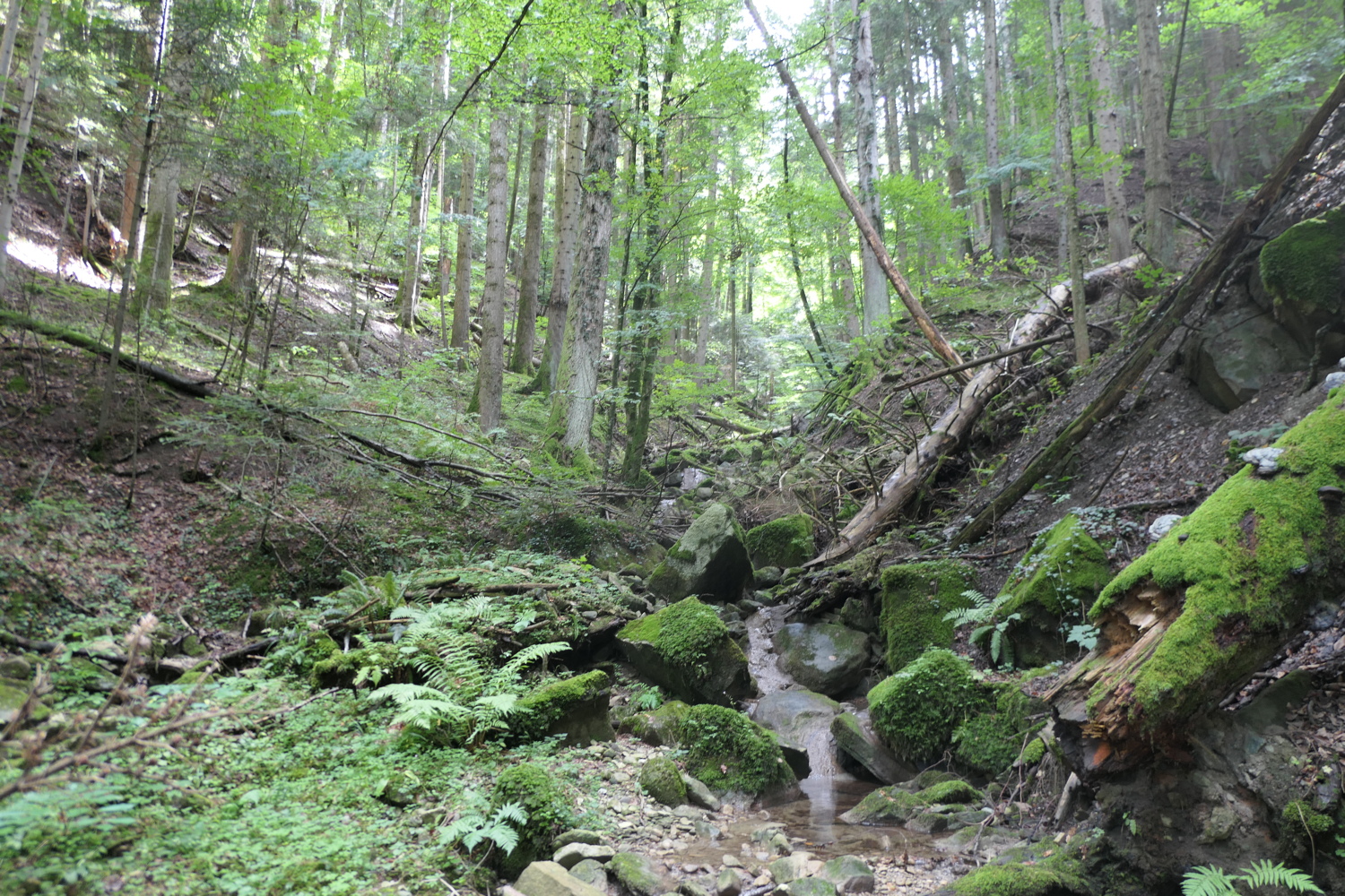 p1030564.jpg