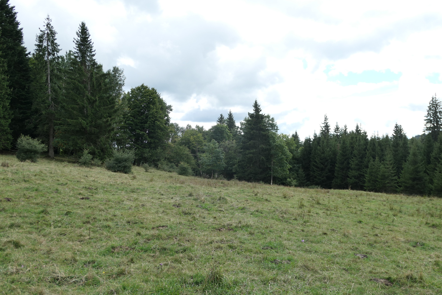 p1030585.jpg