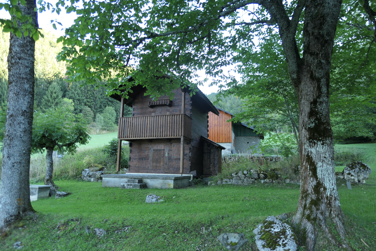 p1030598.jpg