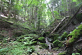 p1030564.jpg