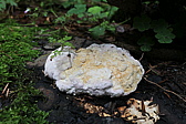 p1030567.jpg