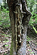 p1030568.jpg