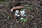 p1030576.jpg