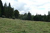 p1030585.jpg