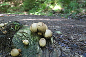 p1030589.jpg