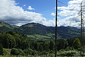 p1030590.jpg