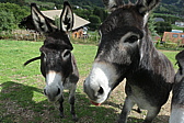 p1030593.jpg