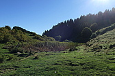 p1030606.jpg
