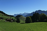 p1030608.jpg