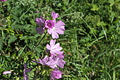 p1030610.jpg