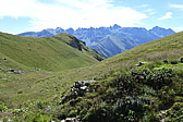 p1030485.jpg
