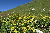 p1030486.jpg