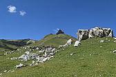 p1030500.jpg