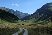 p1030503.jpg